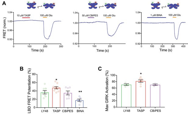 Figures and data in Conformational dynamics between transmembrane ...