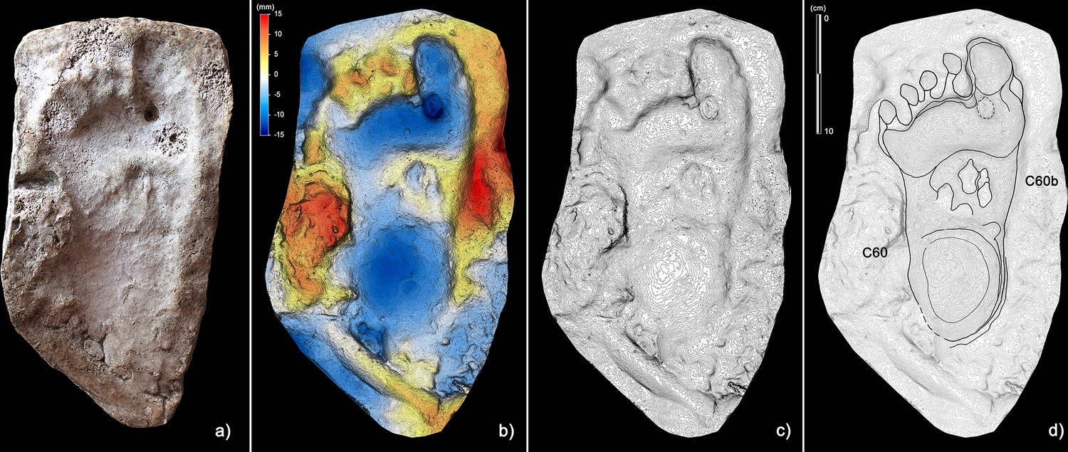 A multidisciplinary approach to a unique palaeolithic human