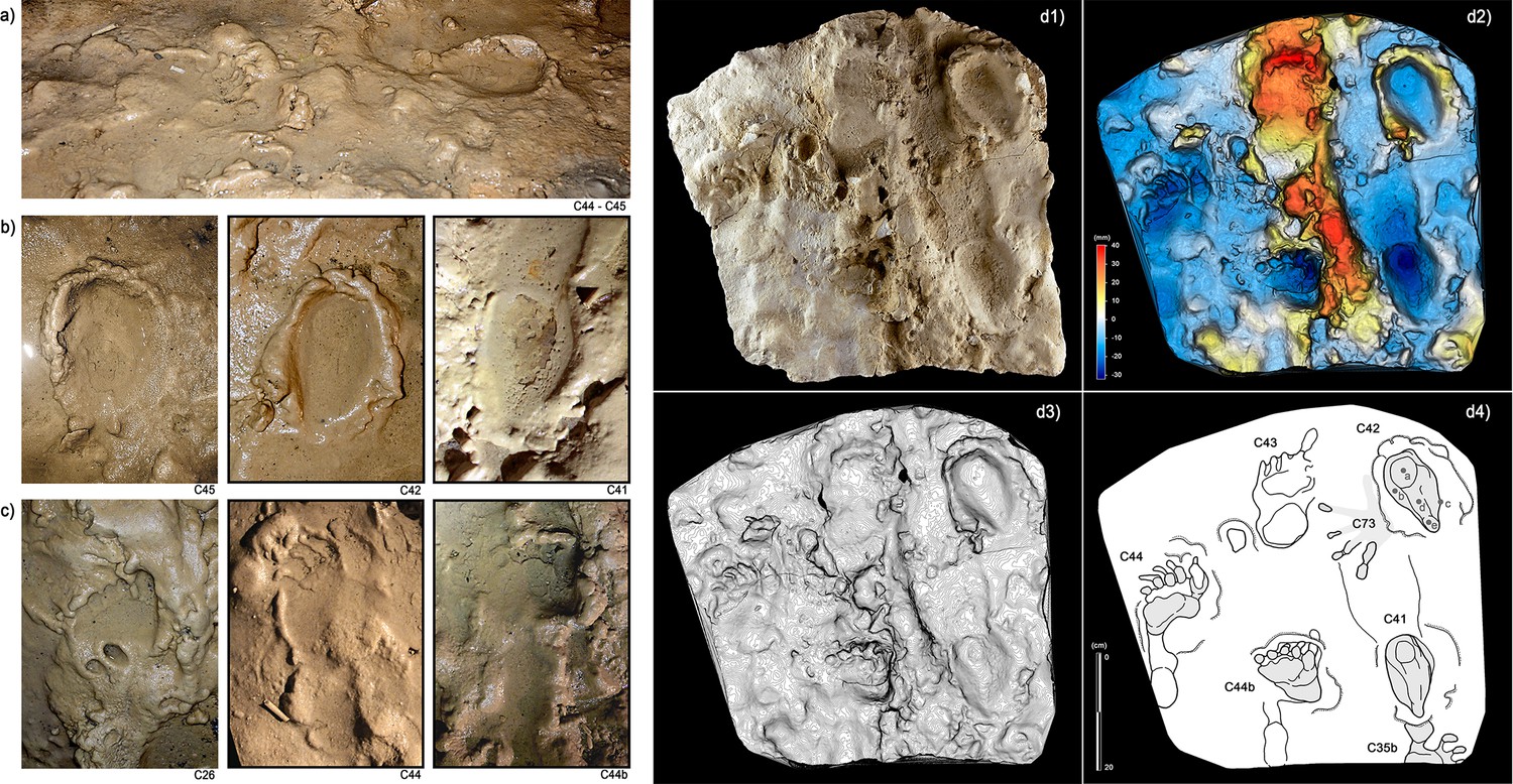 A multidisciplinary approach to a unique palaeolithic human