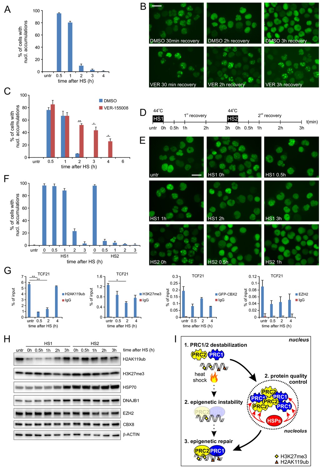 Figures and data in Protein quality control in the nucleolus safeguards ...