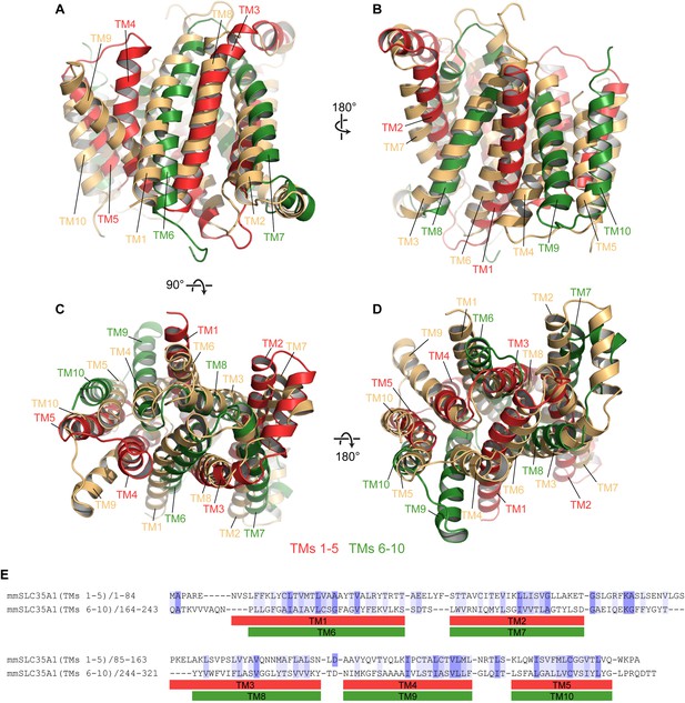 Figures And Data In Structural Basis For Mammalian Nucleotide Sugar ...