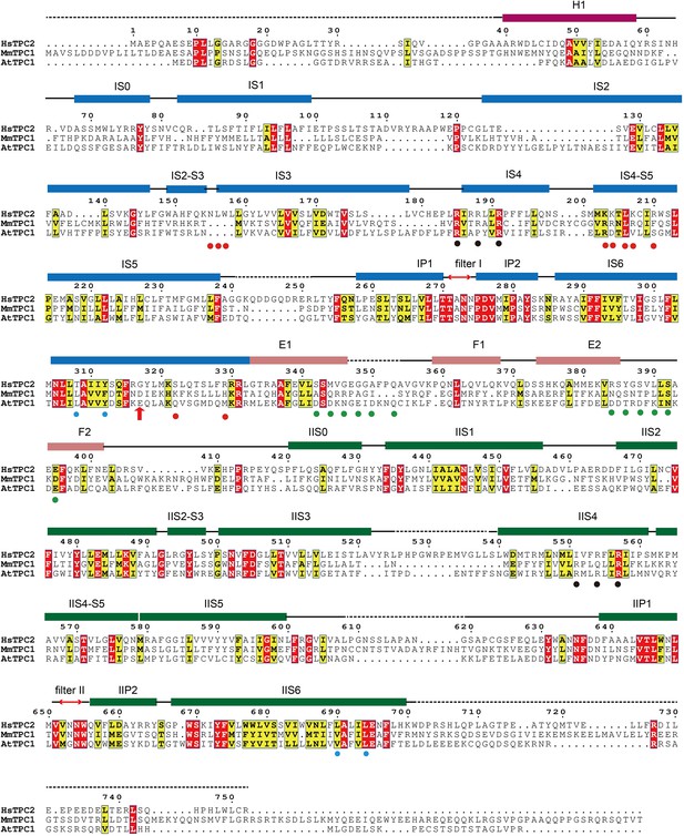 Figures and data in Structural mechanisms of phospholipid activation of ...