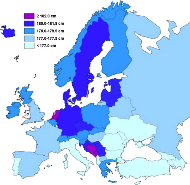 what is homogeneous population in research