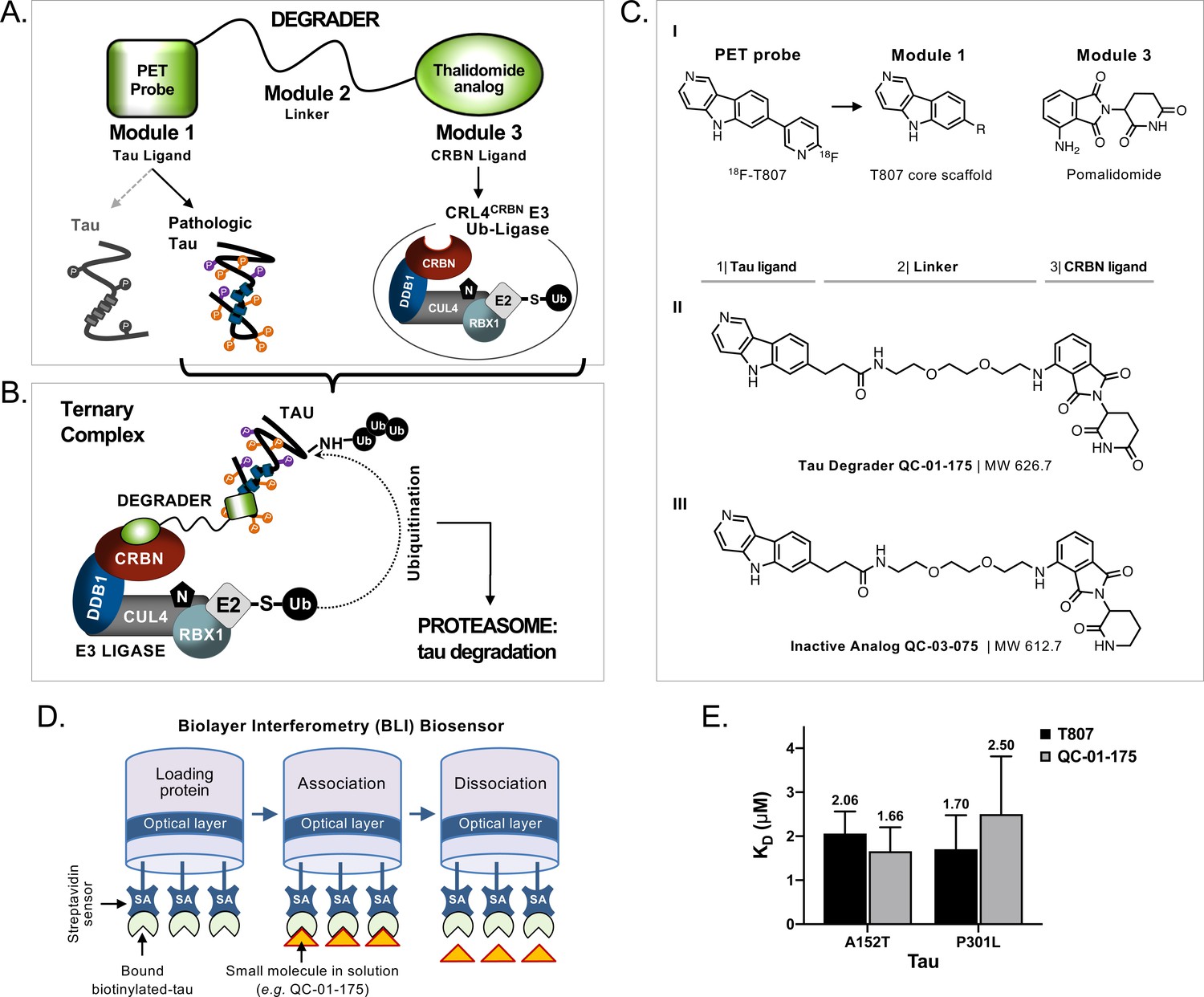 PROTAC® In Vivo Animal Test - Creative Biolabs