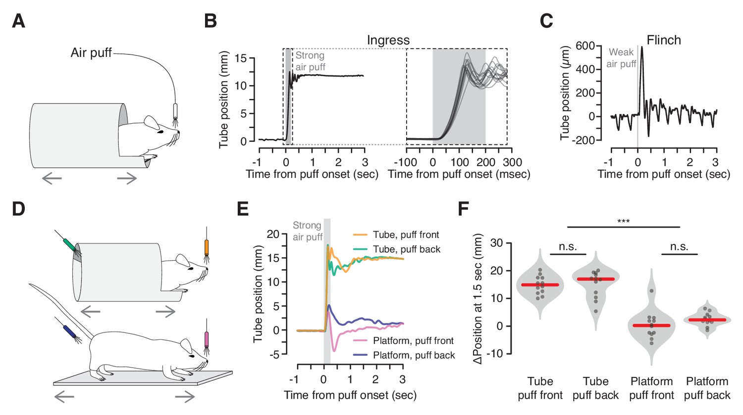 Figures and data in A virtual burrow assay for head–fixed mice measures ...