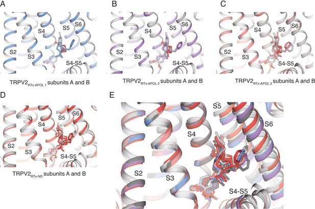 Figures and data in Symmetry transitions during gating of the TRPV2 ion ...