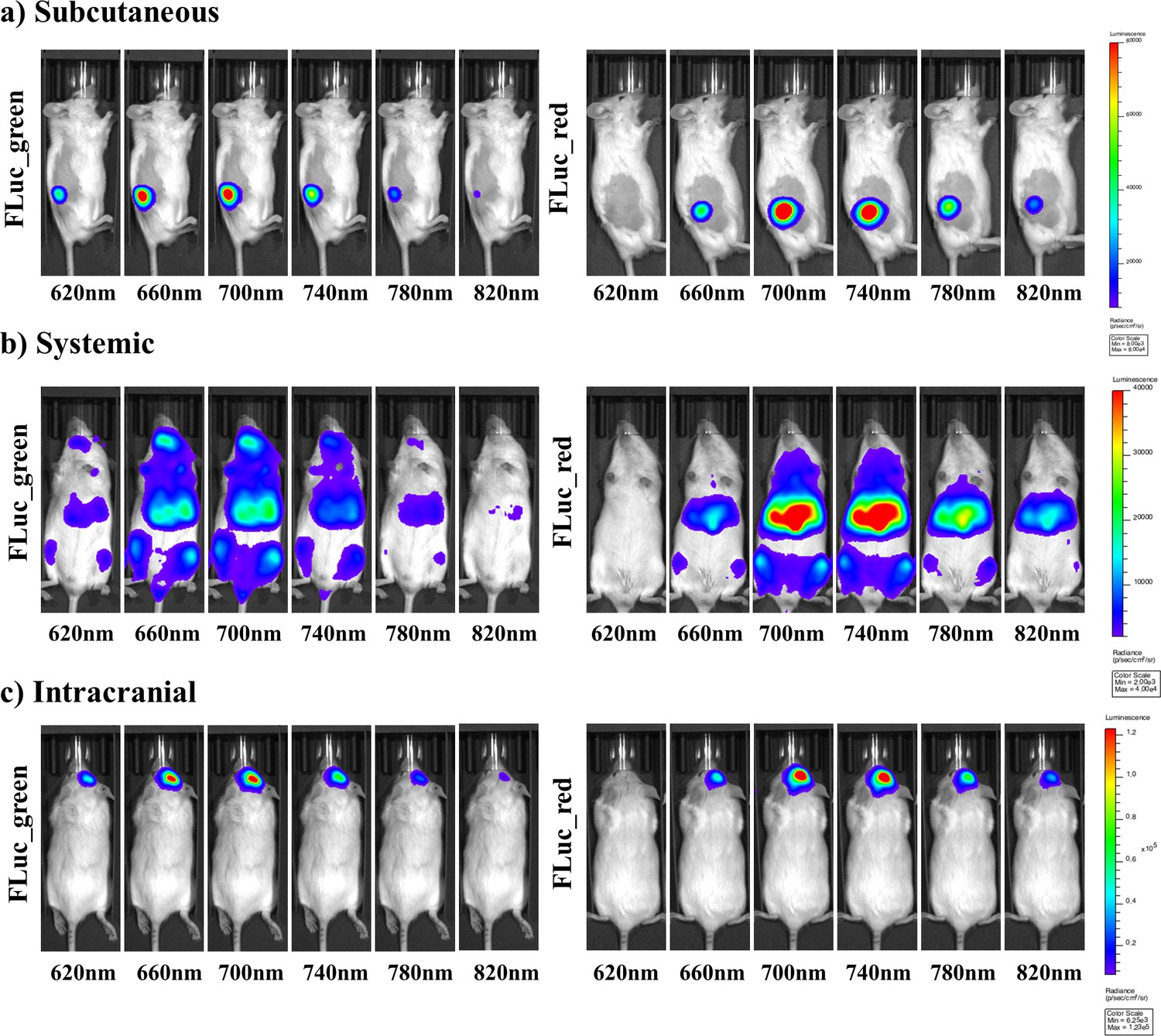 Figures And Data In Near-infrared Dual Bioluminescence Imaging In Mouse ...