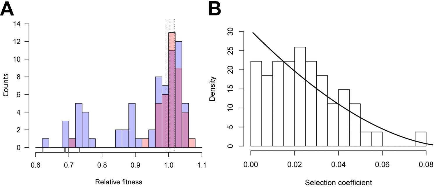 Figures And Data In The Distribution Of Fitness Effects Among figures-and-data-in-the-distribution-of-fitness-effects-among