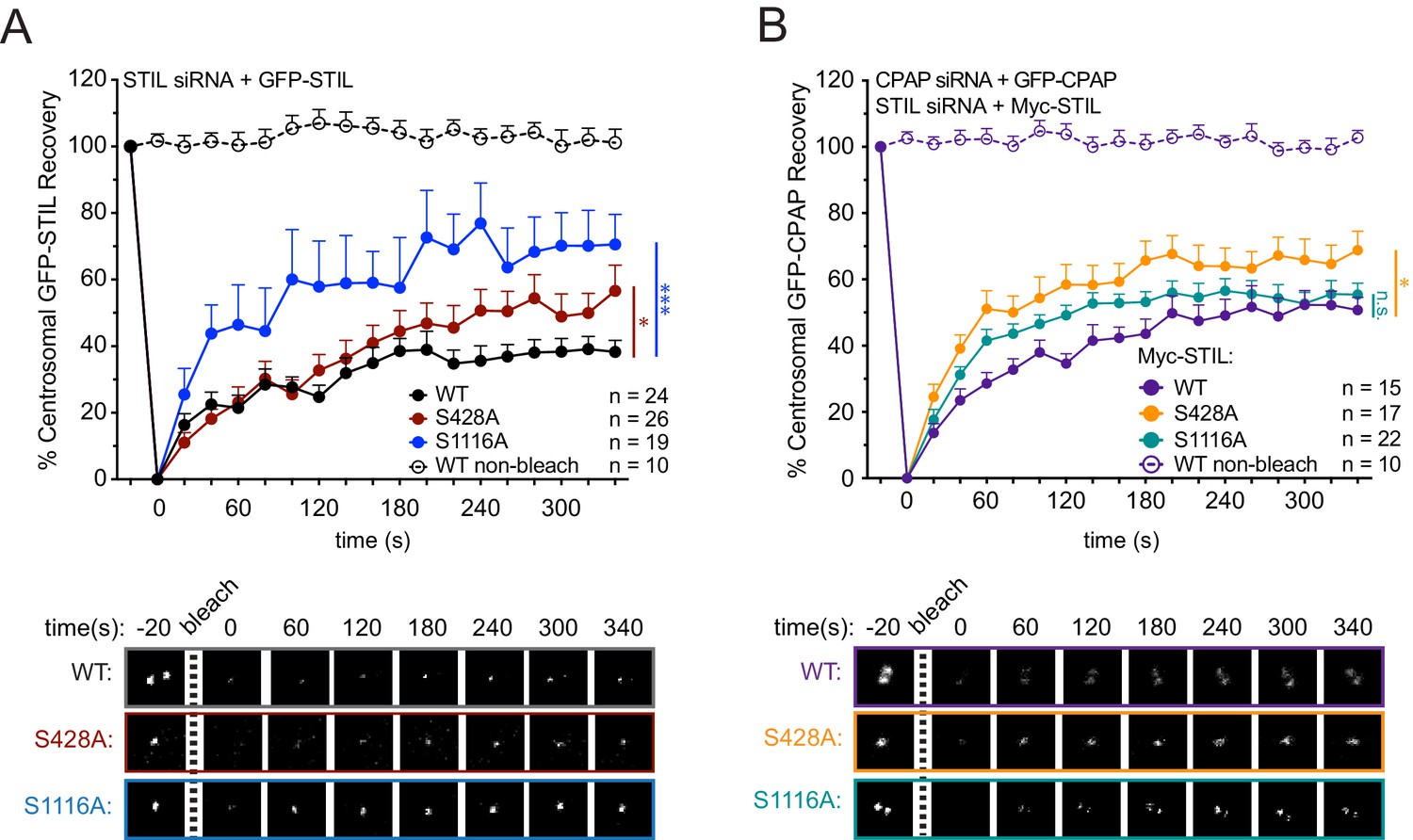 Photocatalytic activation of peroxymonosulfate (PMS) by CNN