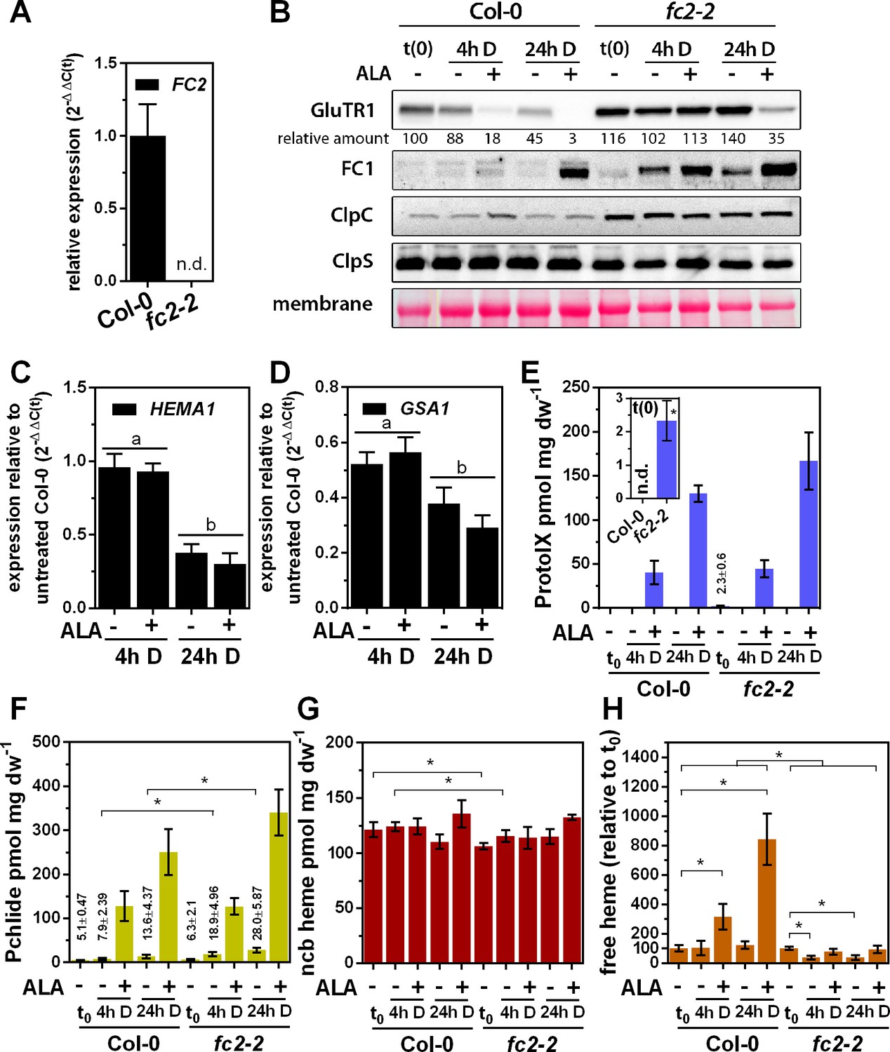 Figures and data in The GluTR-binding protein is the heme-binding ...