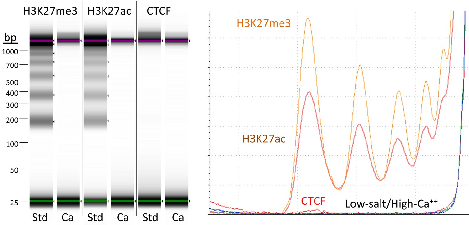 Figures And Data In Improved CUT&RUN Chromatin Profiling Tools | ELife