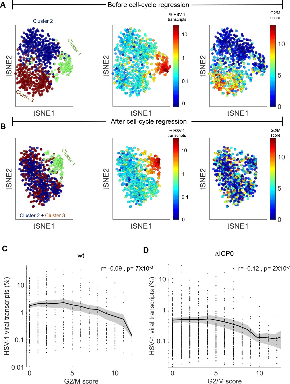 Figures and data in HSV-1 single-cell analysis reveals the activation ...