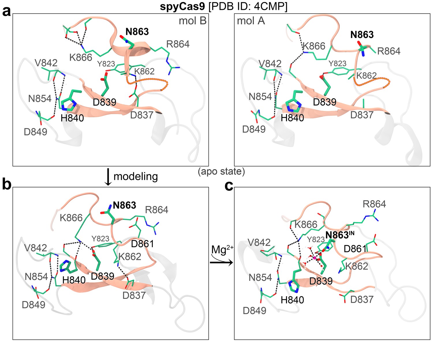 Figures And Data In Structural And Functional Insights Into The Bona