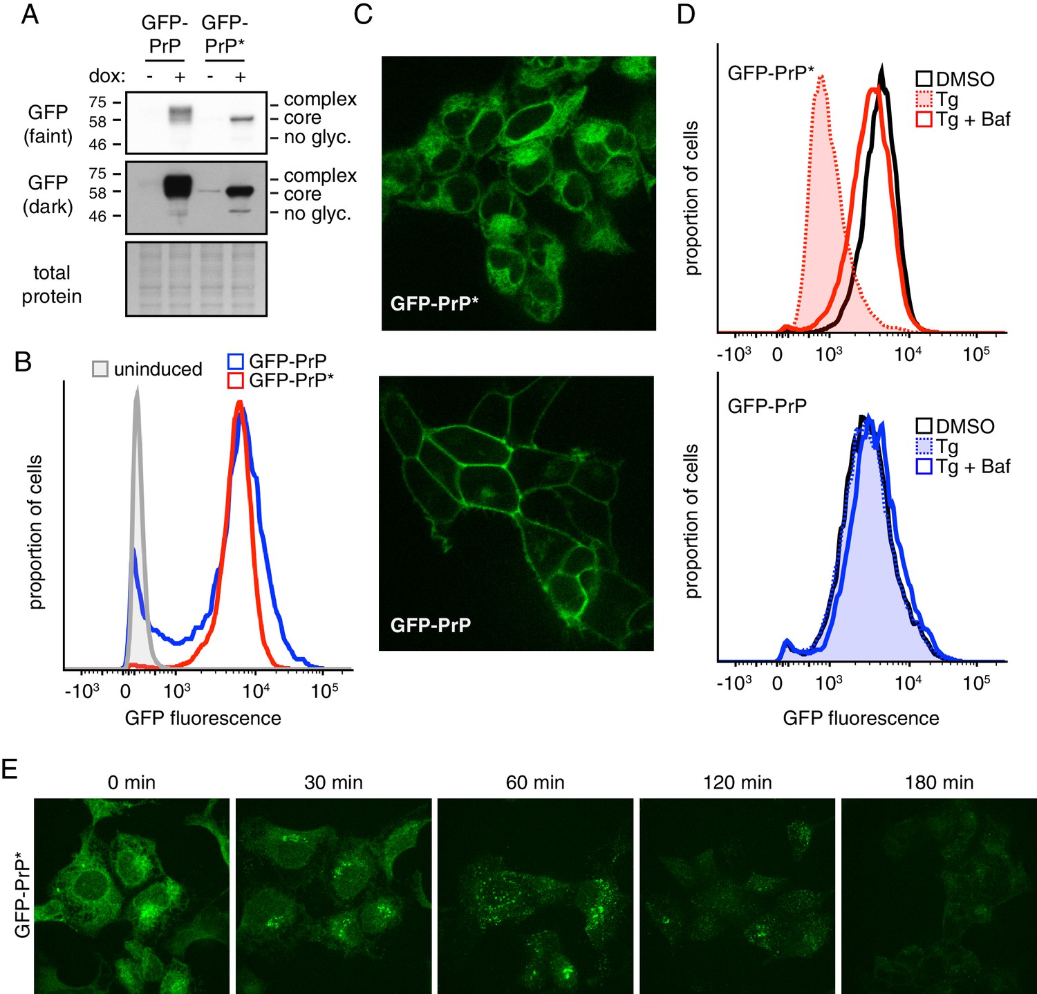 Figures And Data In Misfolded Gpi Anchored Proteins Are Escorted Through The Secretory Pathway 6547