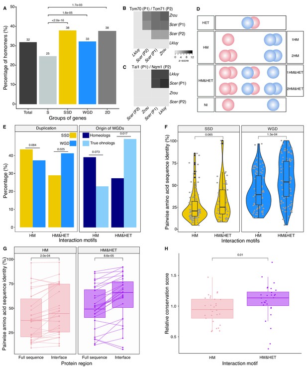 The Role Of Structural Pleiotropy And Regulatory Evolution In The Retention Of Heteromers Of Paralogs Elife