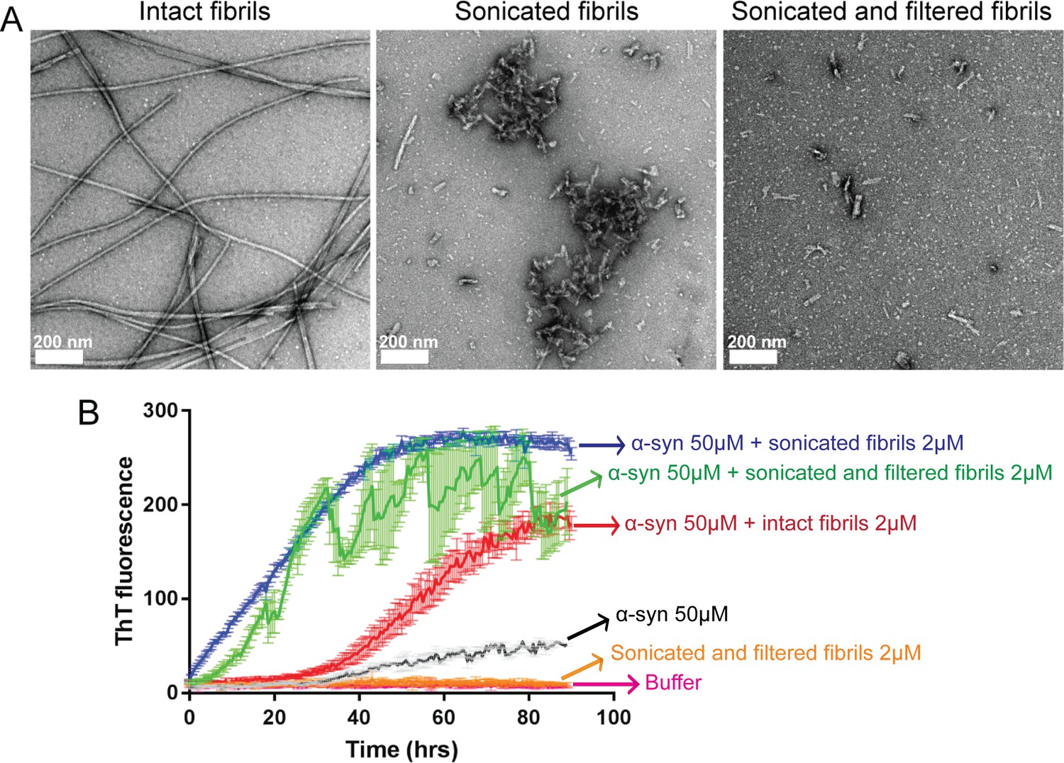 Frontiers  Inhibition of α-Synuclein Aggregation and Mature Fibril  Disassembling With a Minimalistic Compound, ZPDm