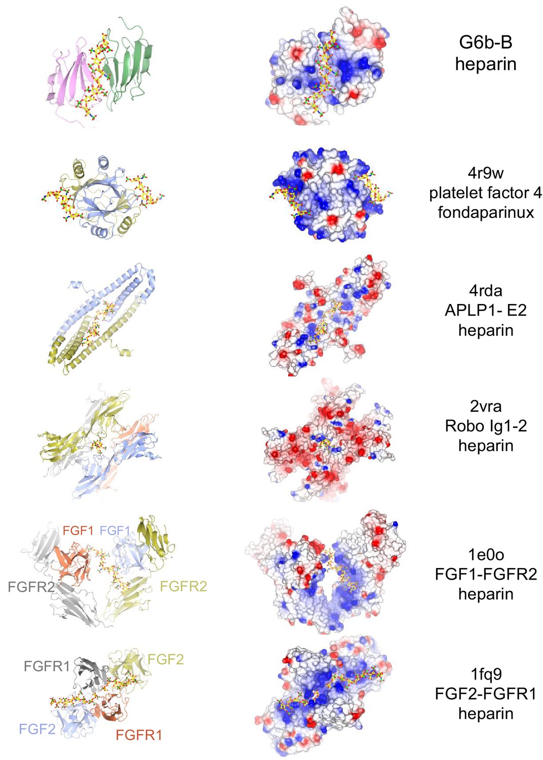 Figures And Data In Heparan Sulfates Are Critical Regulators Of The ...