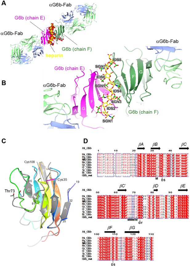 Heparan Sulfates Are Critical Regulators Of The Inhibitory ...