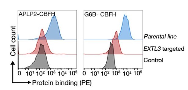 Figures And Data In Heparan Sulfates Are Critical Regulators Of The ...