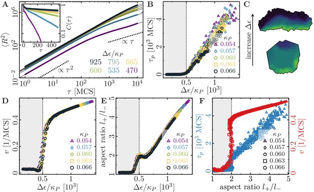 Bridging the gap between single-cell migration and collective dynamics ...