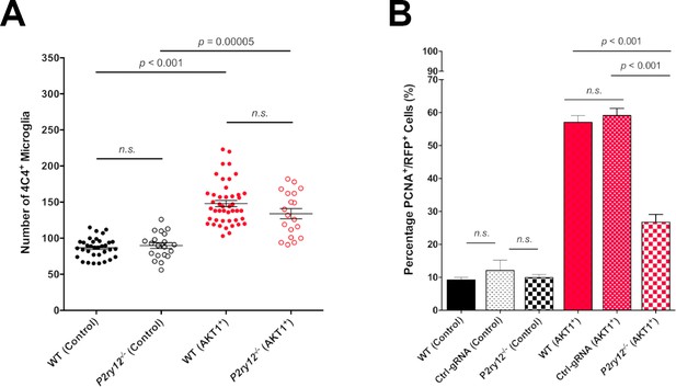 Brain tumours repurpose endogenous neuron to microglia signalling ...