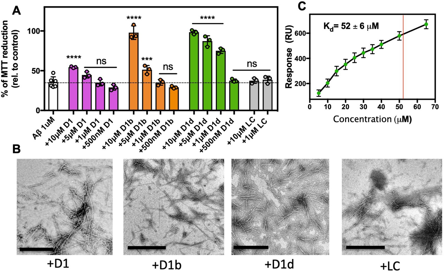 Structure-based inhibitors of amyloid beta core suggest a common ...