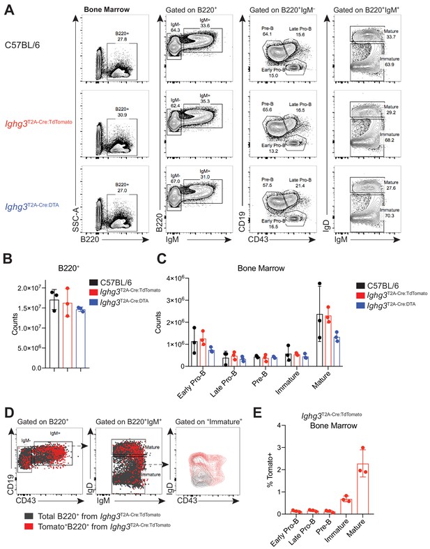 Figures And Data In B Cell Receptor And Toll-like Receptor Signaling ...