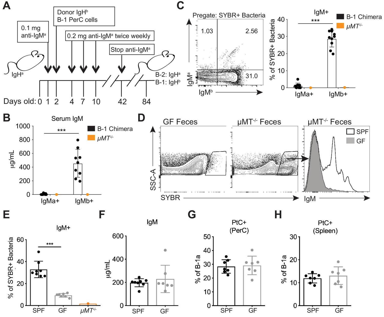 B Cell Receptor And Toll-like Receptor Signaling Coordinate To Control ...