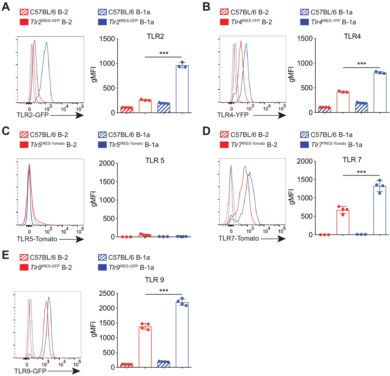 Figures And Data In B Cell Receptor And Toll-like Receptor Signaling ...