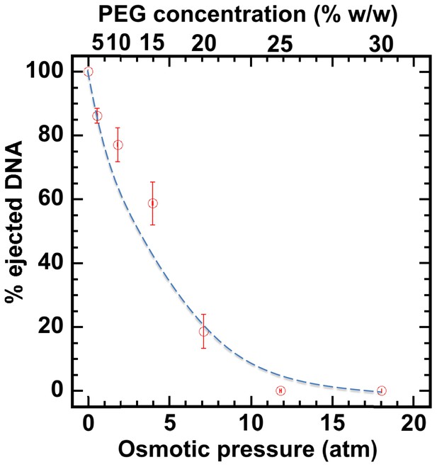 Figures and data in Pressure-driven release of viral genome into a host ...