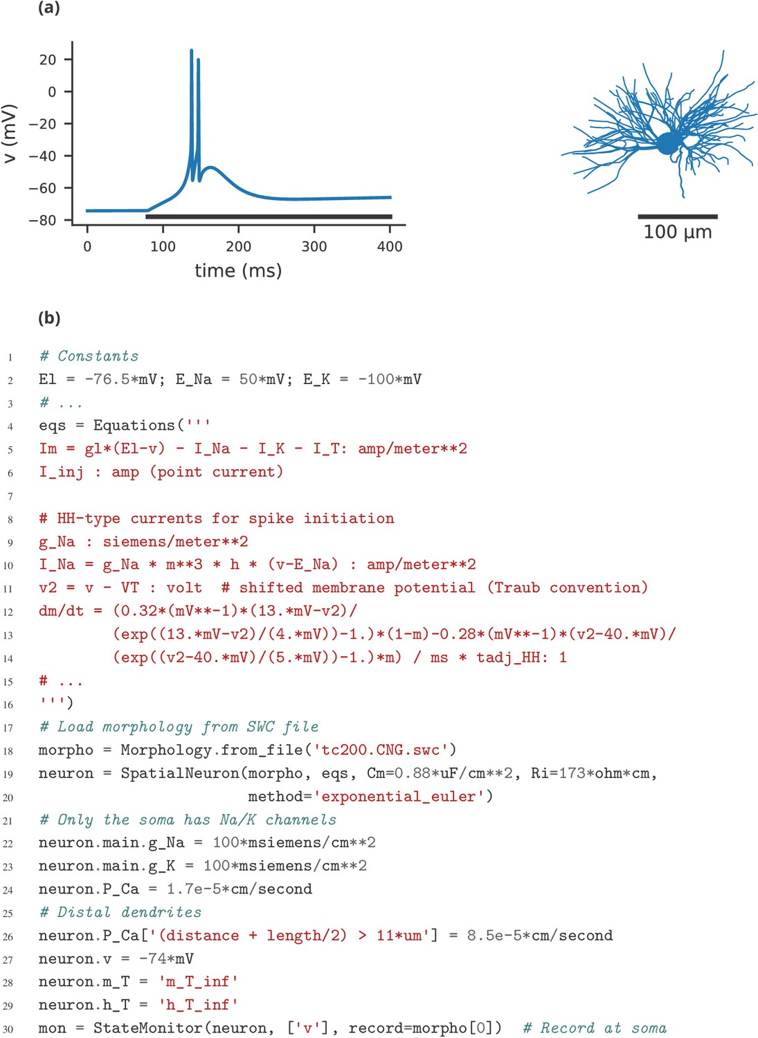 Brian 2 An Intuitive And Efficient Neural Simulator Elife