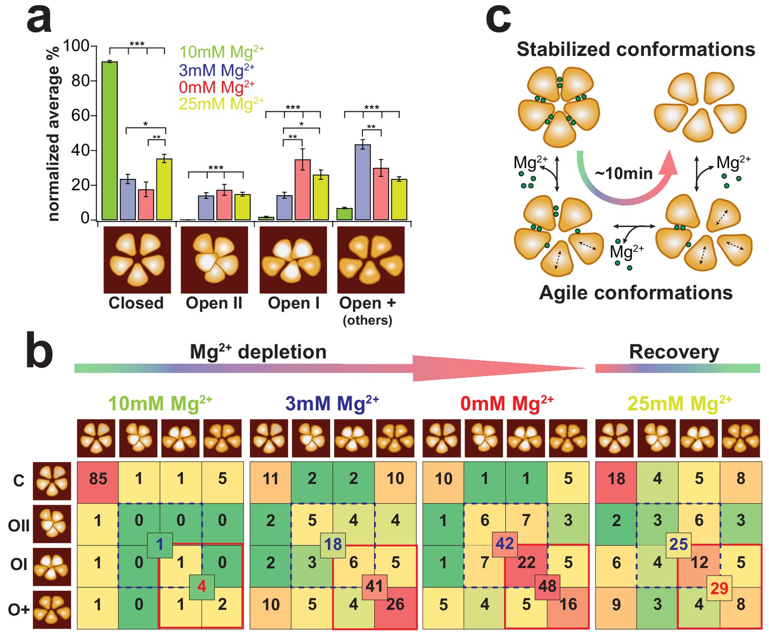 Figures And Data In Real Time Dynamics Of Gating Related Conformational