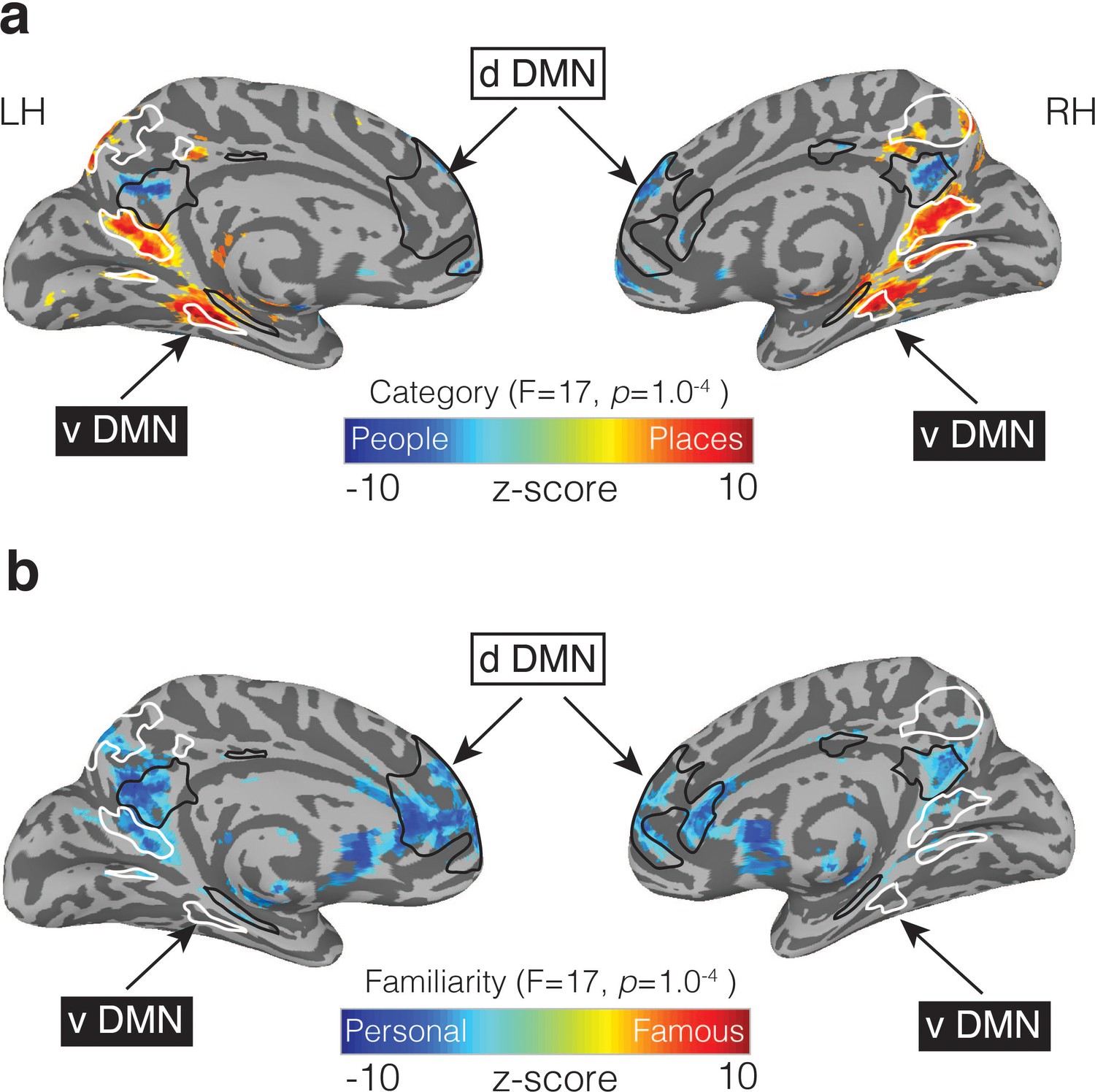 Distinct Subdivisions Of Human Medial Parietal Cortex Support ...