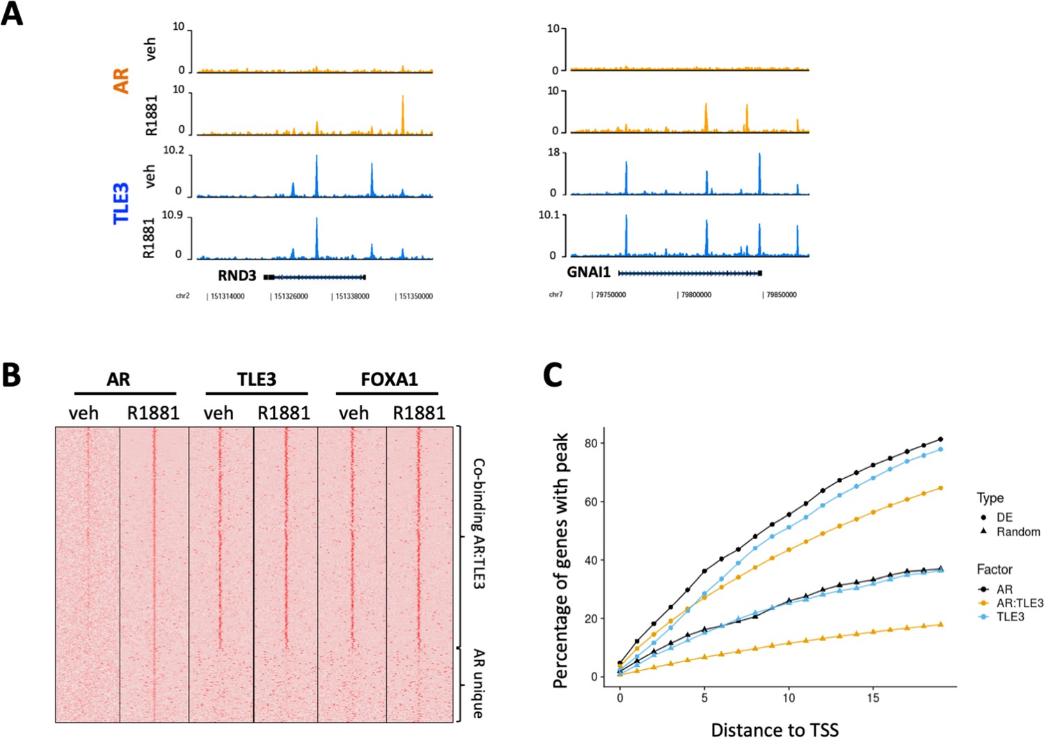 Figures And Data In TLE3 Loss Confers AR Inhibitor Resistance By