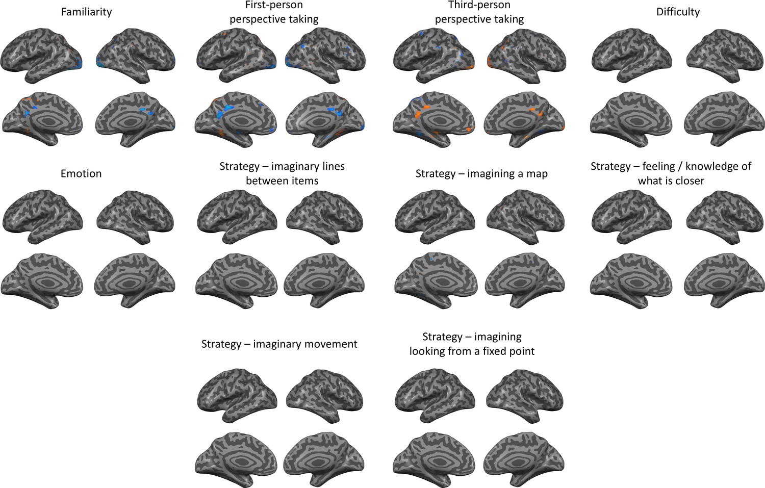 Processing of different spatial scales in the human brain