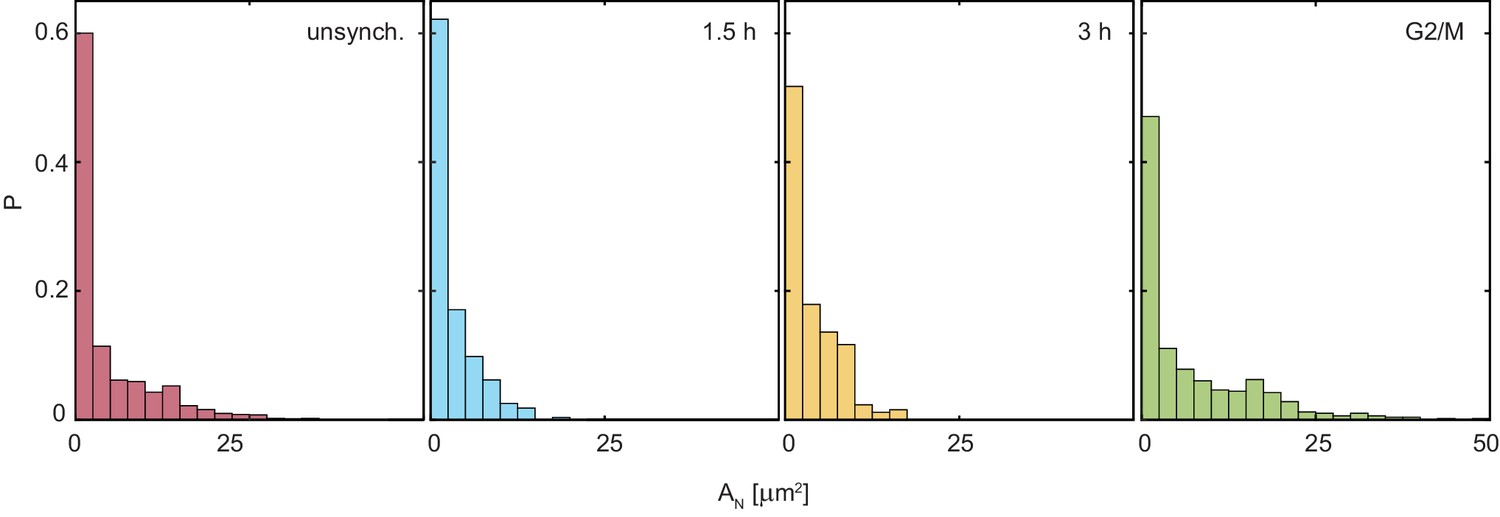 Figures and data in Nucleolar dynamics and interactions with ... Biology Diagrams