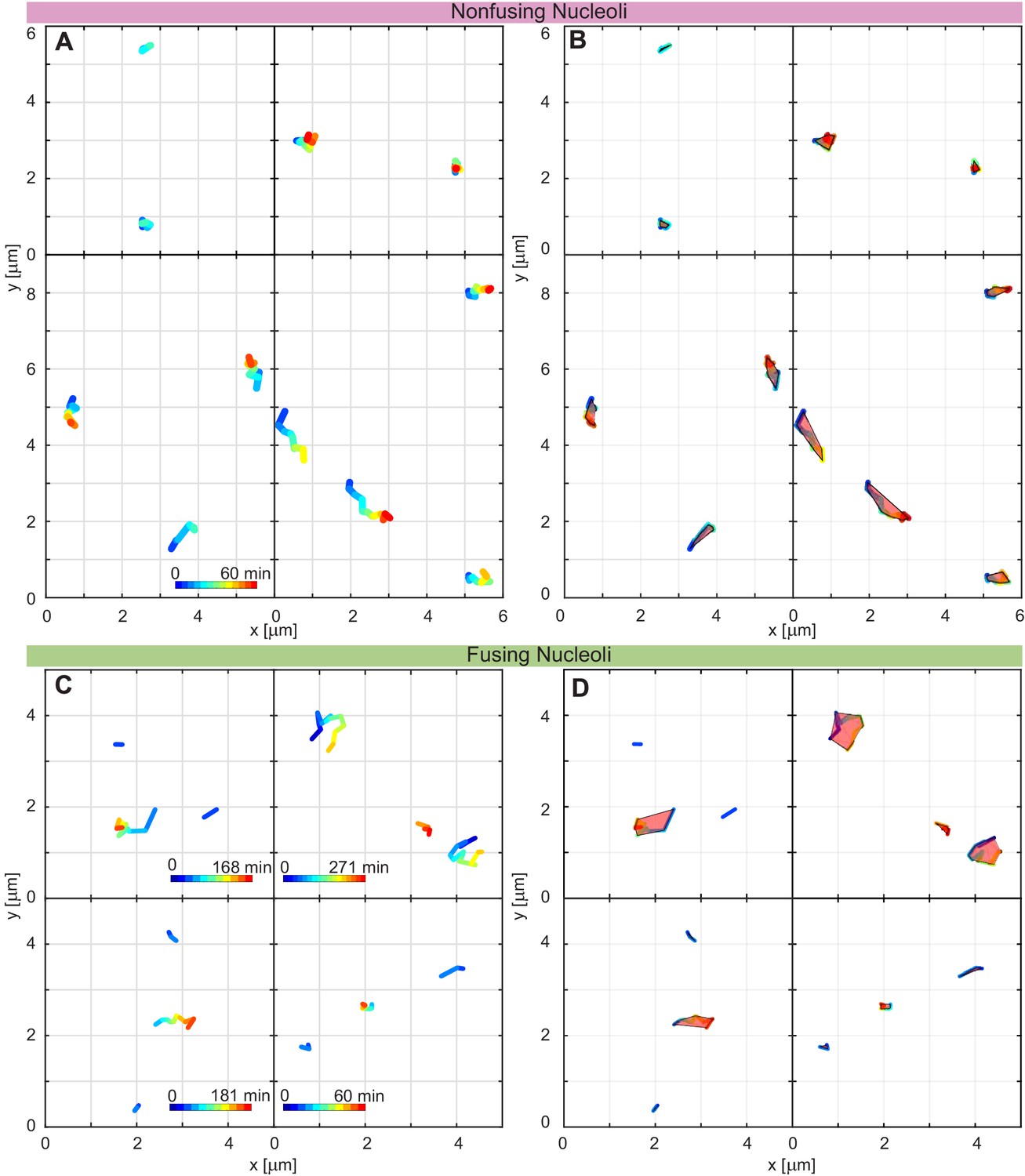 Figures and data in Nucleolar dynamics and interactions with Biology Diagrams