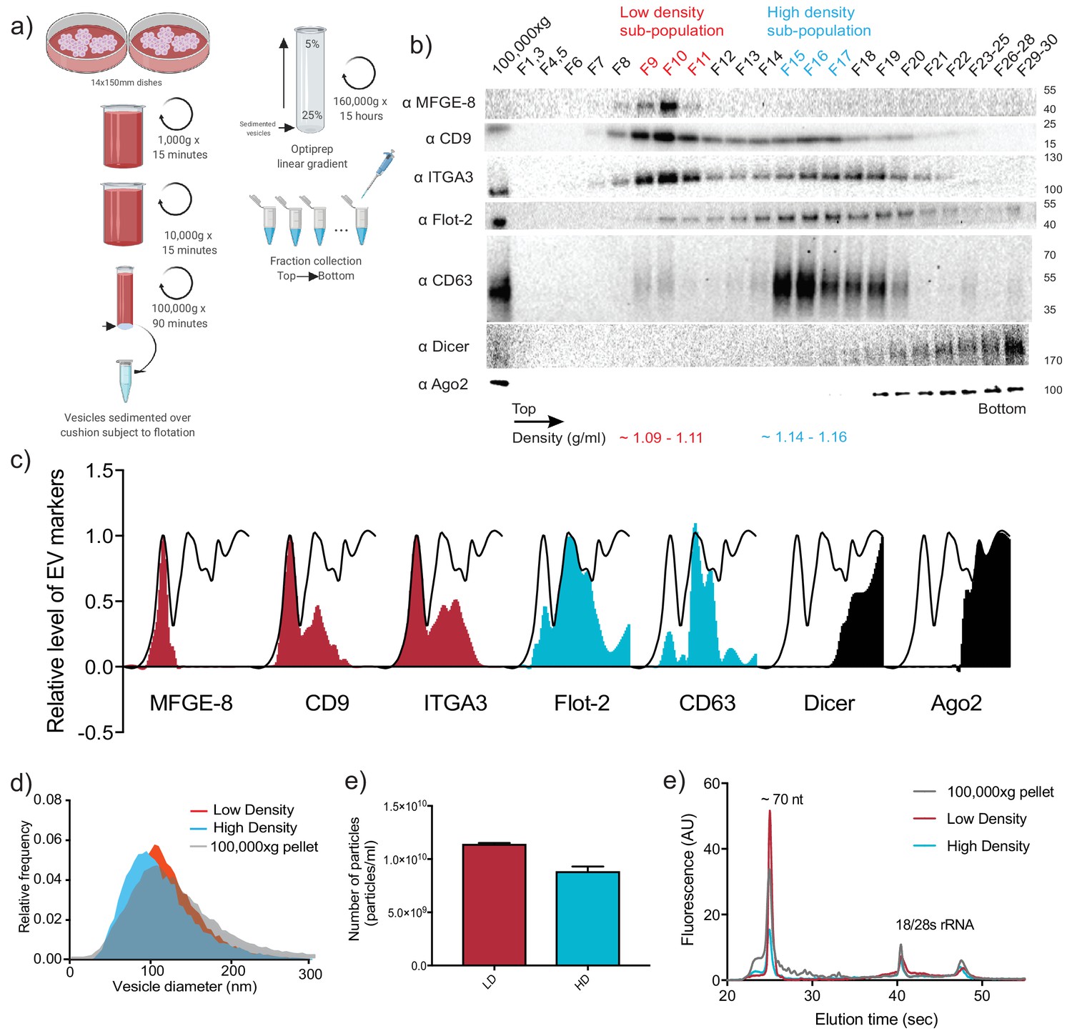 Figures And Data In Distinct Mechanisms Of MicroRNA Sorting Into Cancer ...