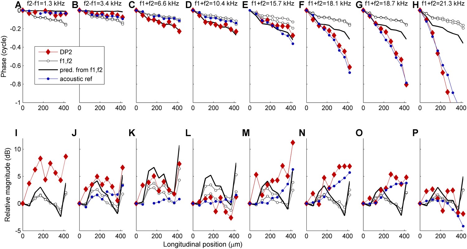 The Frequency Limit Of Outer Hair Cell Motility Measured In Vivo Elife