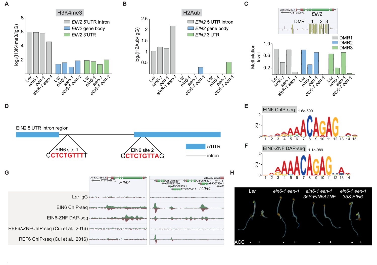 Figures and data in Epigenetic silencing of a multifunctional plant ...