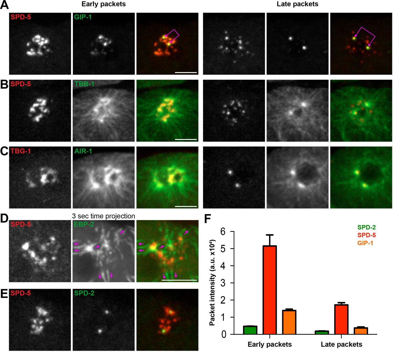 Figures And Data In A Two-step Mechanism For The Inactivation Of ...