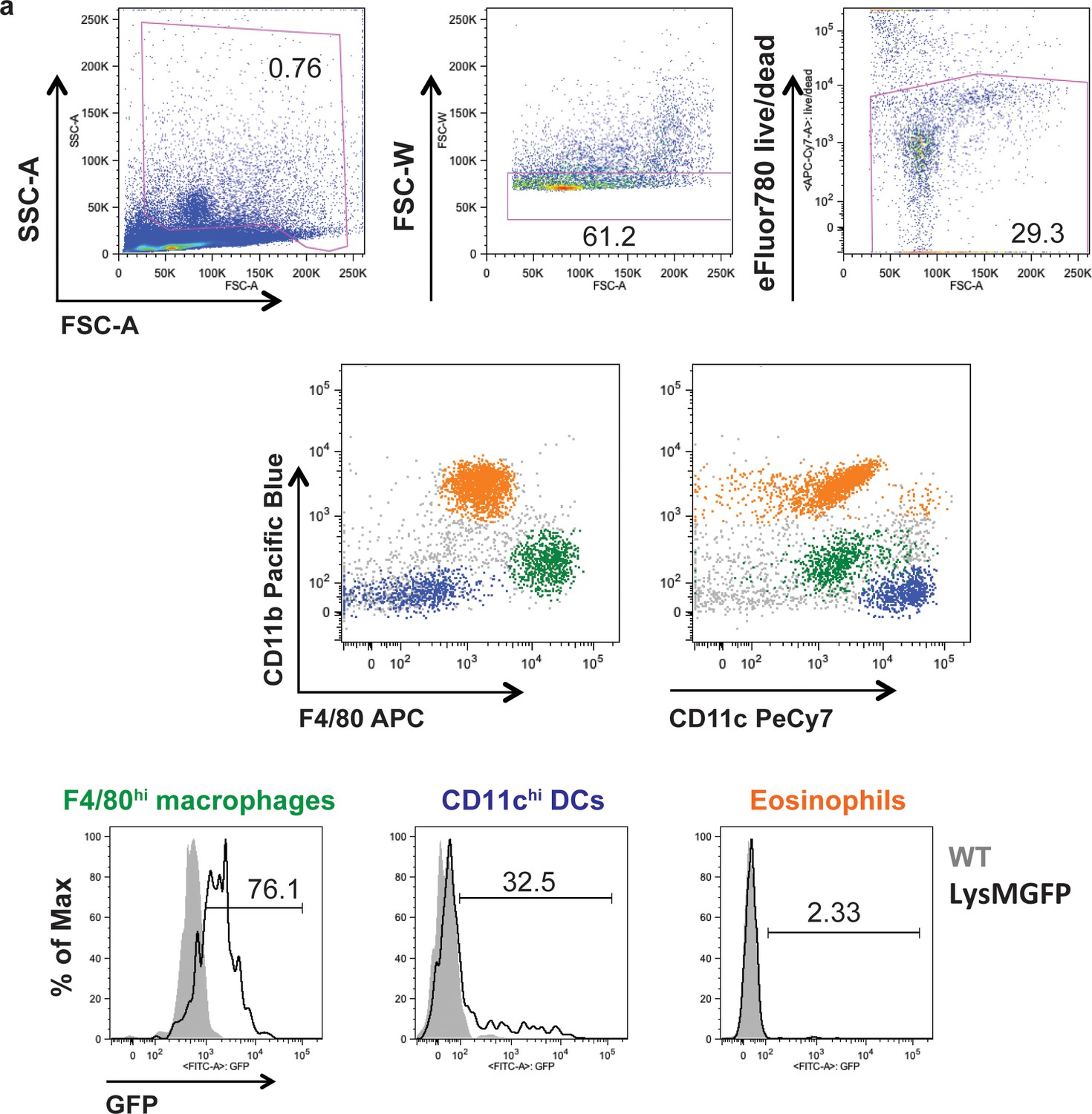 Figures and data in A role for phagocytosis in inducing cell death ...