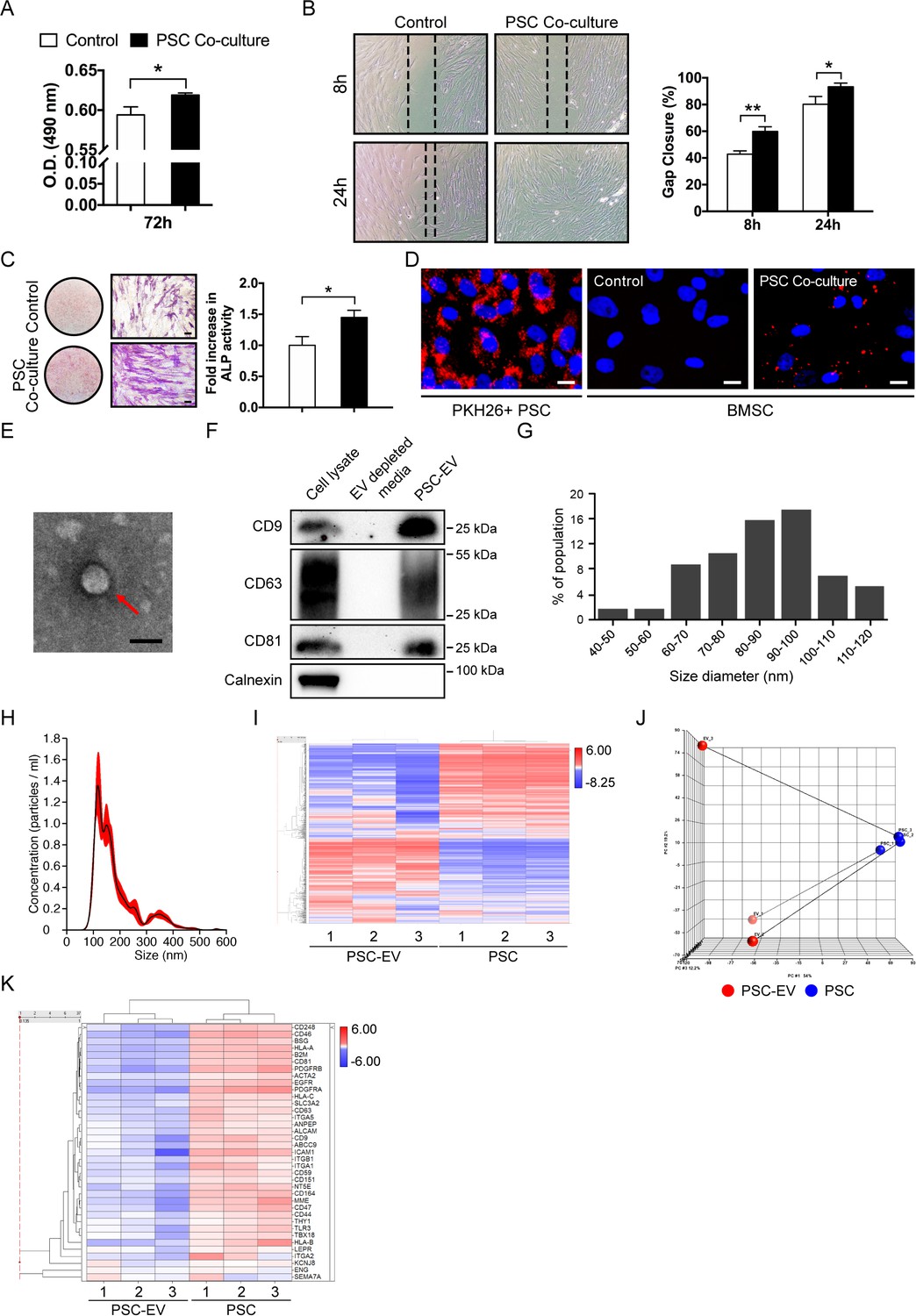 Human Perivascular Stem Cell Derived Extracellular Vesicles Mediate