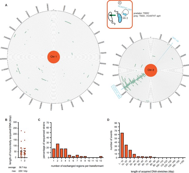 Putative Genomic Regions Under Natural Selection A Natural Selection