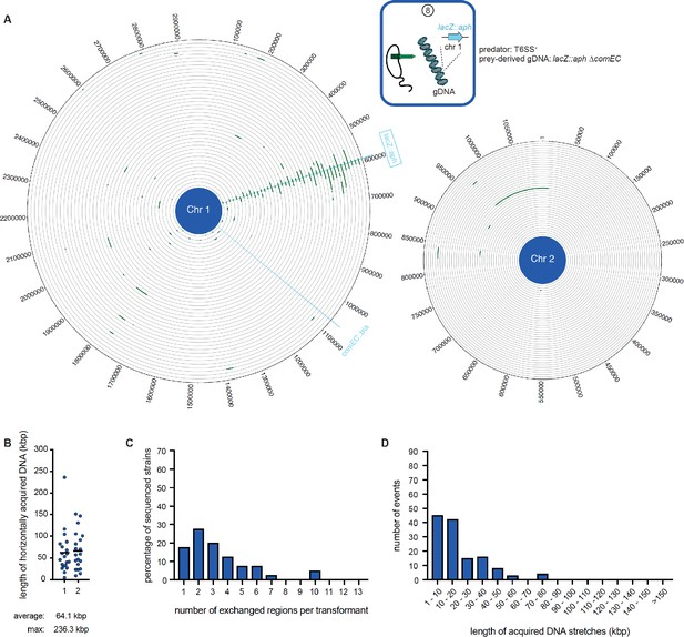 Putative Genomic Regions Under Natural Selection A Natural Selection