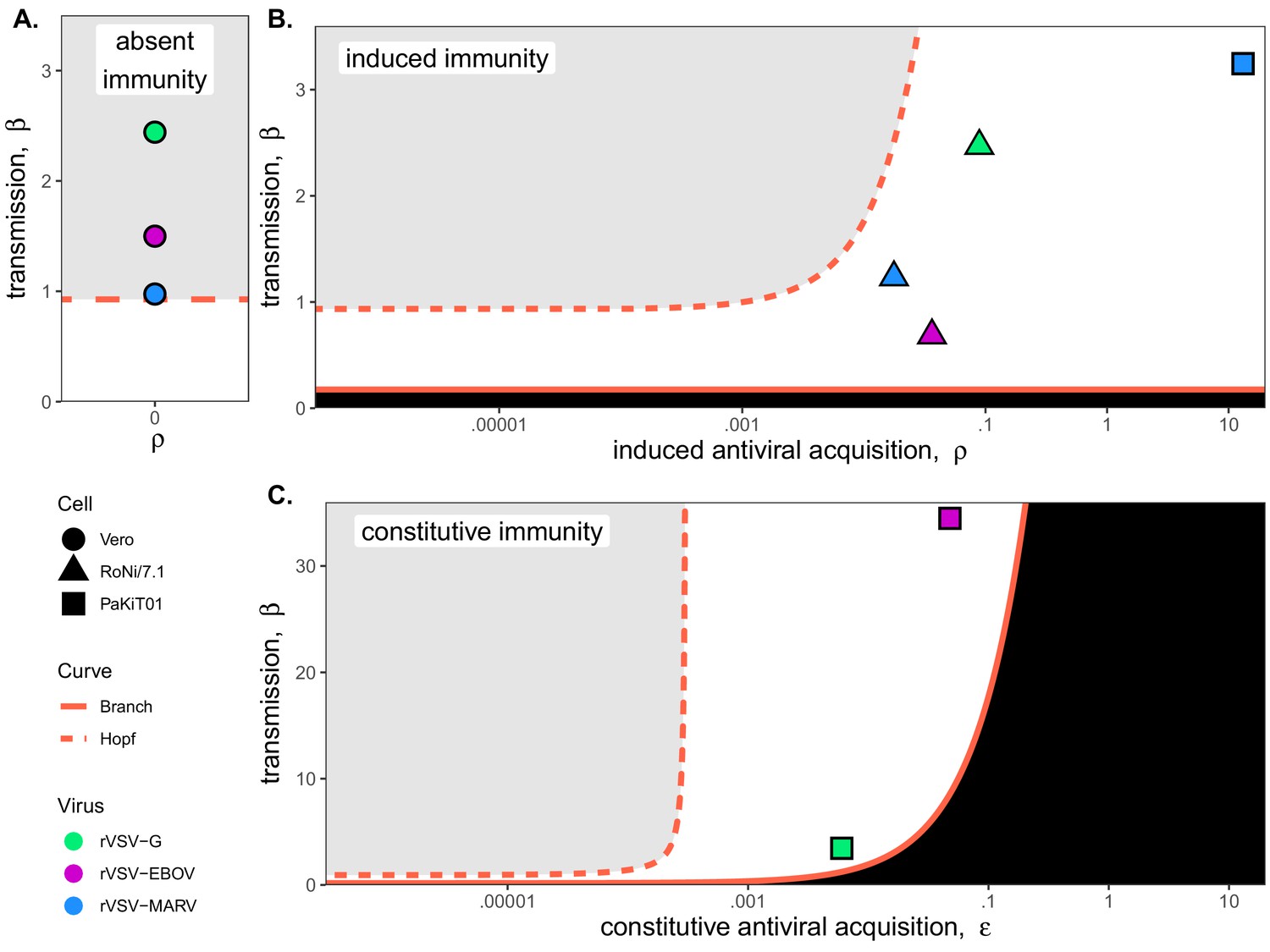 Accelerated Viral Dynamics In Bat Cell Lines With Implications For Zoonotic Emergence Elife