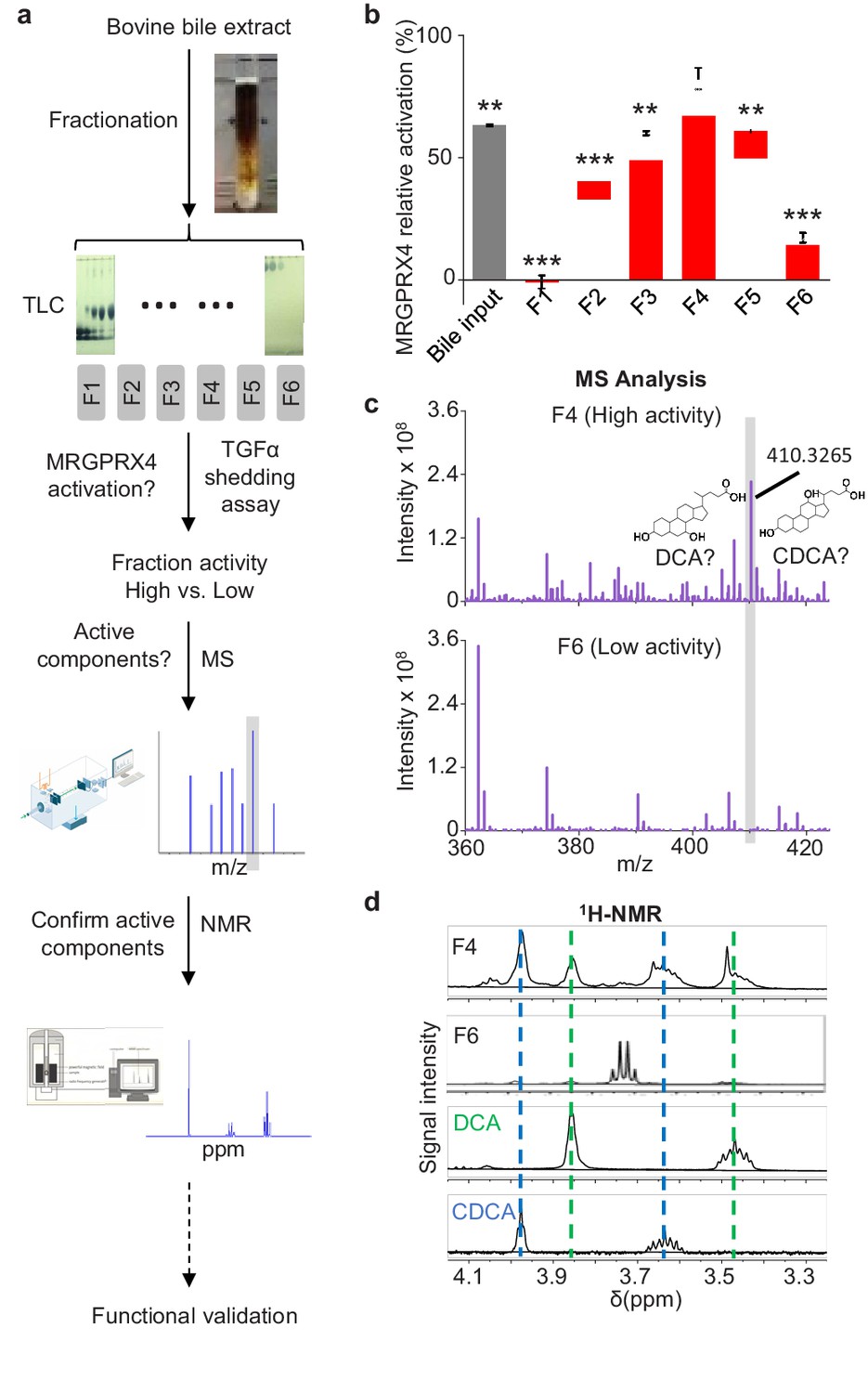 Figures and data in MRGPRX4 is a bile acid receptor for human ...