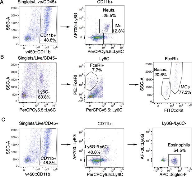 Figures and data in Neutrophils promote CXCR3-dependent itch in the ...