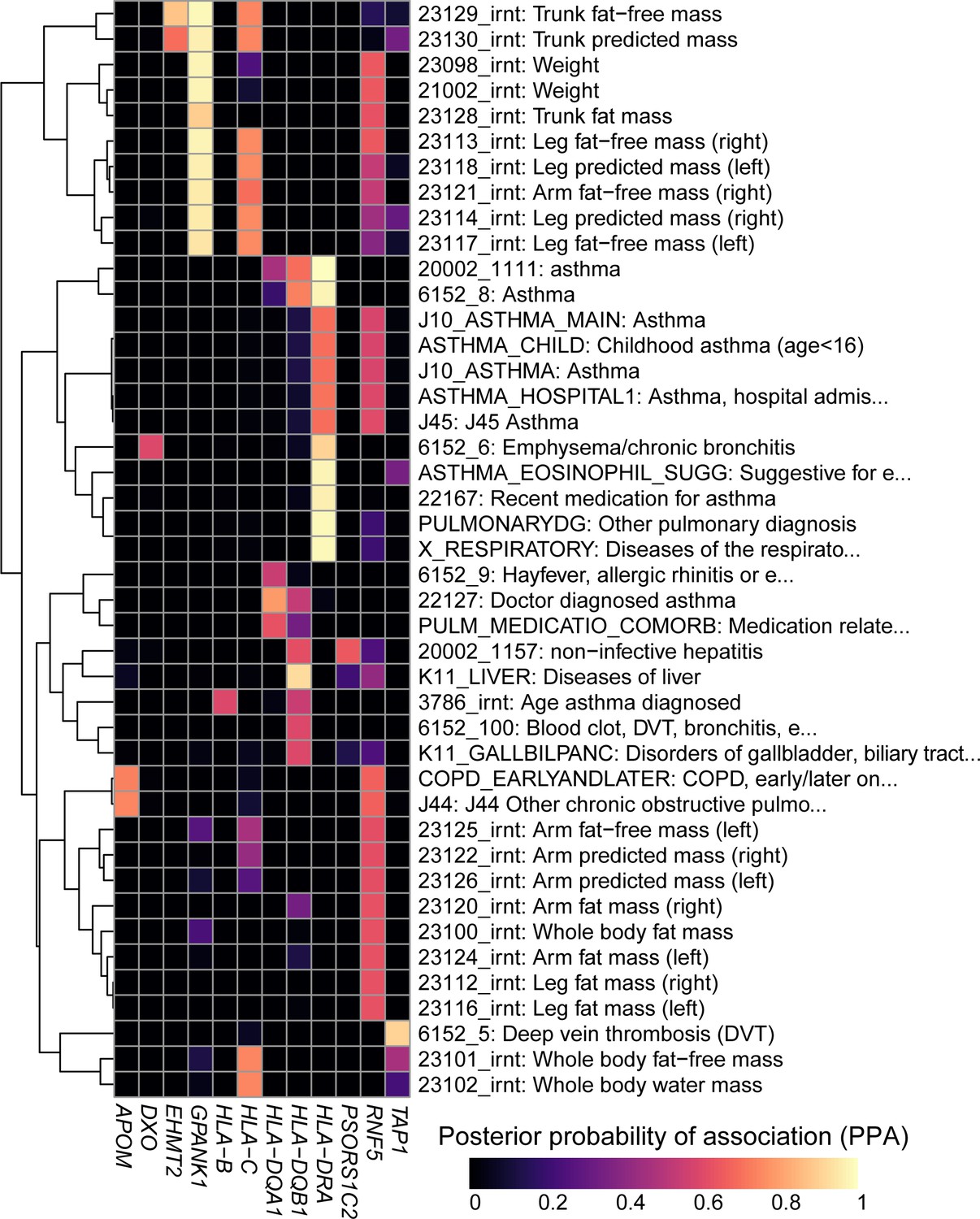 Diseases, Free Full-Text