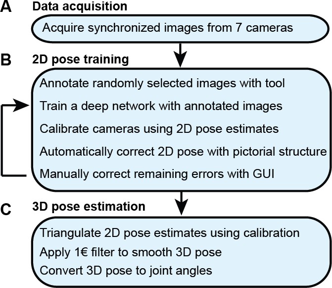 The accuracy of several pose estimation methods for 3D joint centre  localisation | Scientific Reports